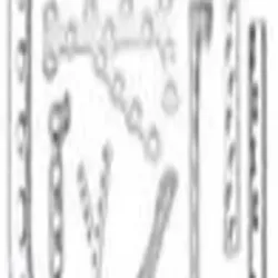 Cervical Spine Plate, Brand Bond Well