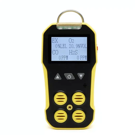 Multigas Portable Detector — LCD display the date
