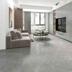 Matte Porcelain Floor Tiles in Multicolor