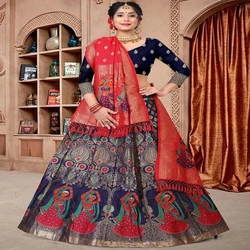 Lehenga Choli Set