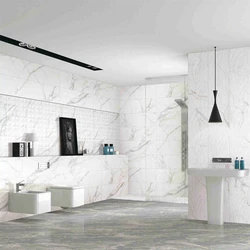 Magnificent Porcelain Bathroom Floor