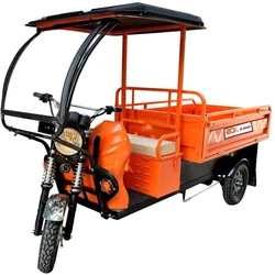 Electric Rickshaw