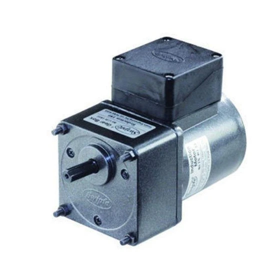 Three Phase Adept Motor — Foot, flange mounting