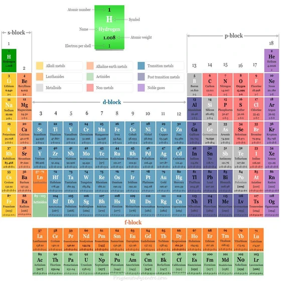 natural-elements-2.webp