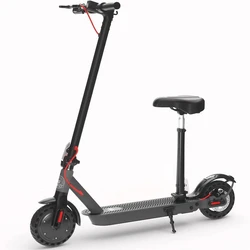 Electric Portable Scooter
