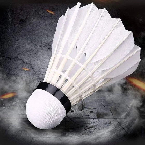 feather-shuttle-cock-2.webp