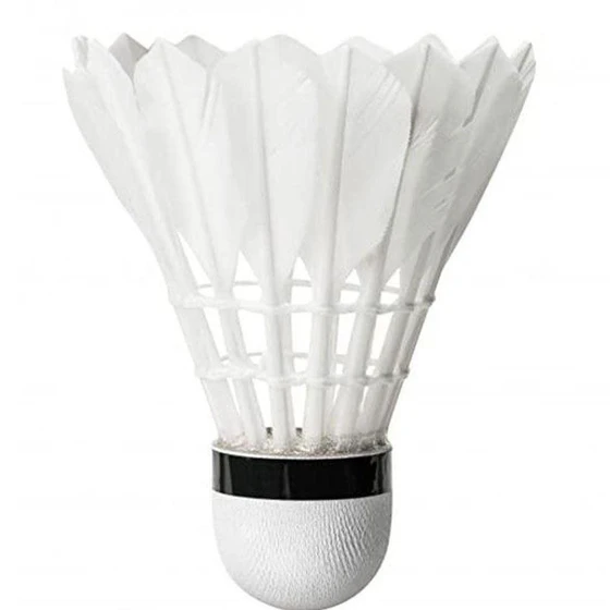 badminton-shuttle-cock-1.webp