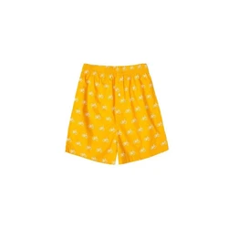 Boxer Regular Shorts