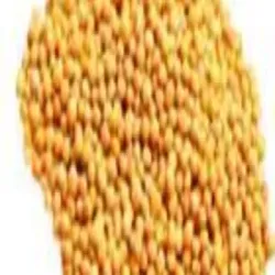 Tomato Seeds, Processing Type Raw