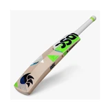Spliit Kashmir Willow Bat