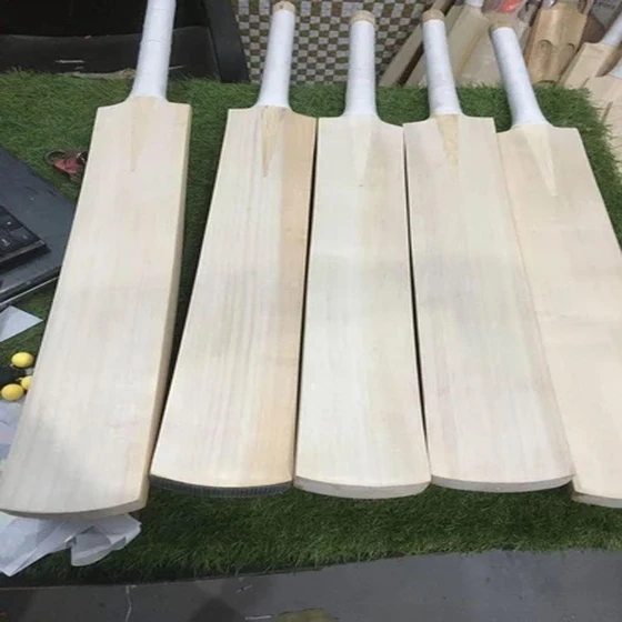 willow-wood-cricket-bat-1.webp