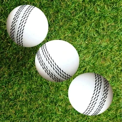 Playing Cricket Ball