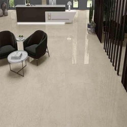 Attractive Glossy Ceramic Tile