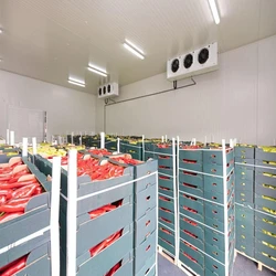 Cold Storage Room