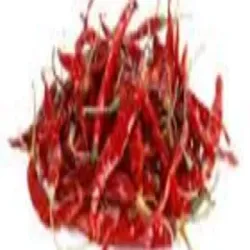Red Chilli, Variety of Chilli Teja
