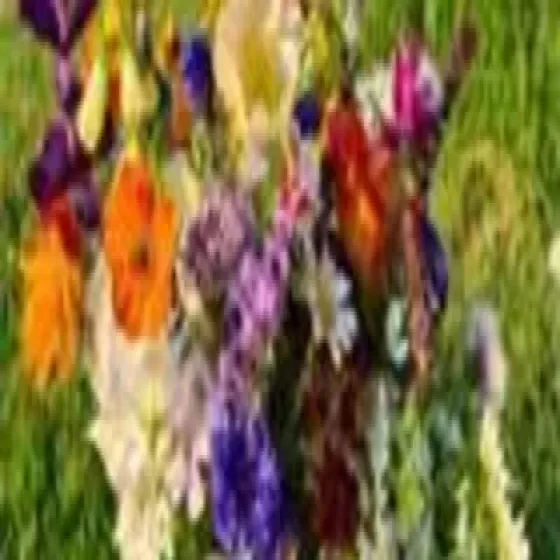 manufacturers-natural-flowers-tgq22U7J.webp