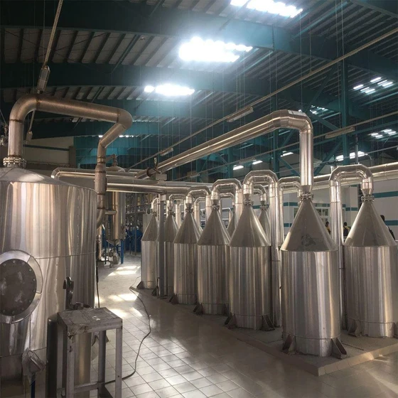 Standard Liquid Glucose Plant — Automatic, grinding usage