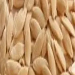 Flax Seeds, Type Dried