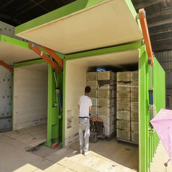 vegetables-cooling-refrigeration-2.webp