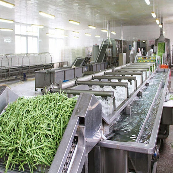 vegetable-production-line-2.webp