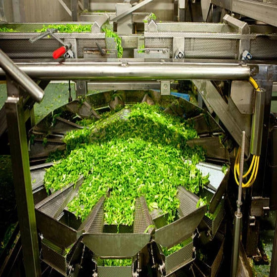 Vegetable Processing Plant — Food processors type