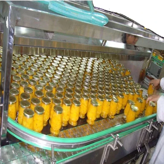 Canned Vegetable Processing Line — Automation grade
