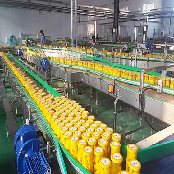 canned-vegetable-processing-line-2.webp