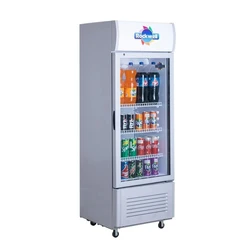 Visi Electric Cooler