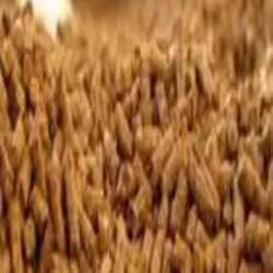 Matki Sprout, Speciality Organic