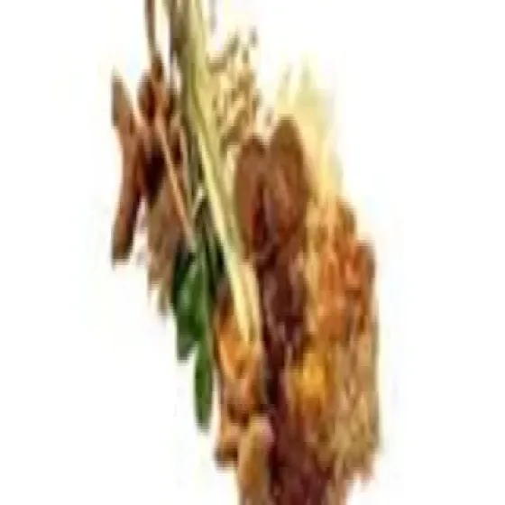 manufacturers-spice-extract-LN3NmG5D.webp