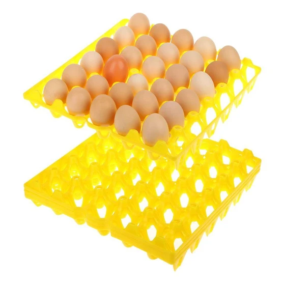Durable Egg Tray — 35g weight, transparent color