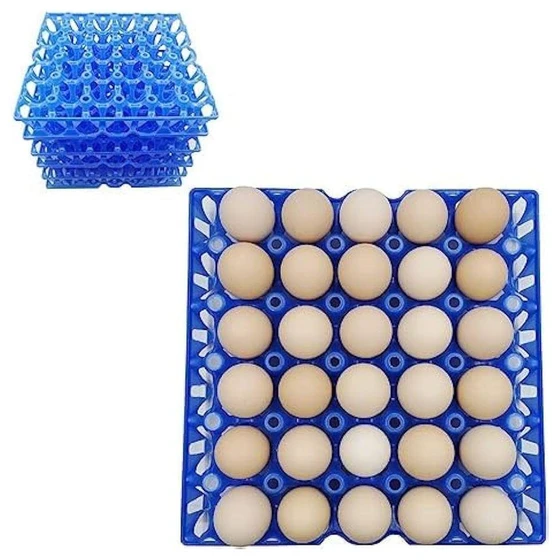 durable-egg-tray-2.webp
