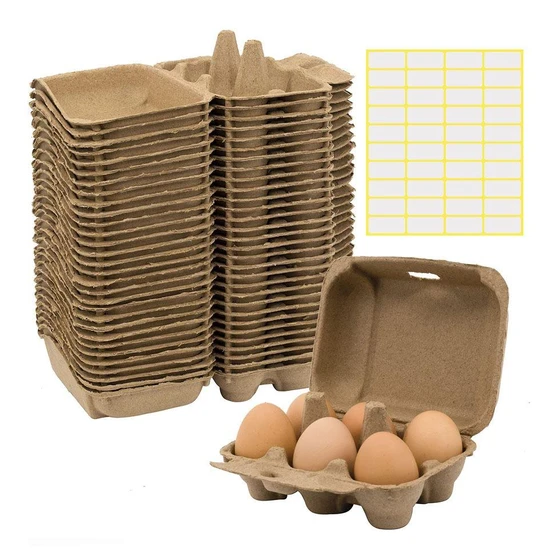 paper-egg-tray-1.webp