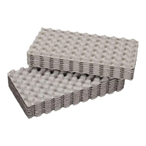 paper-egg-tray-2.webp