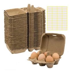 PAPER EGG TRAY