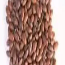 8 Logs, Shape Round