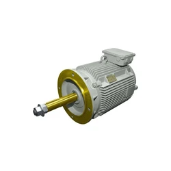 Cooling Tower Motors