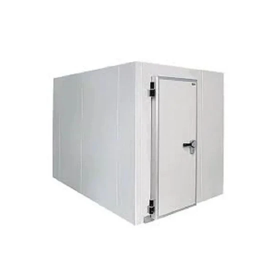 grey-refrigerated-container-2.webp