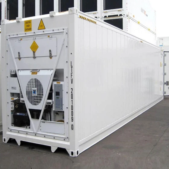 standard-refrigerated-container-1.webp