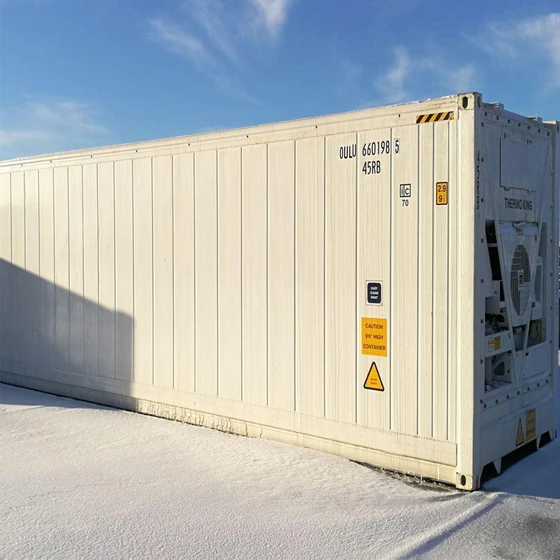 standard-refrigerated-container-2.webp
