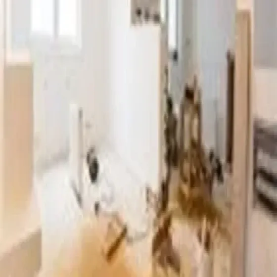 manufacturers-renovation-4Tu8LLKF.webp