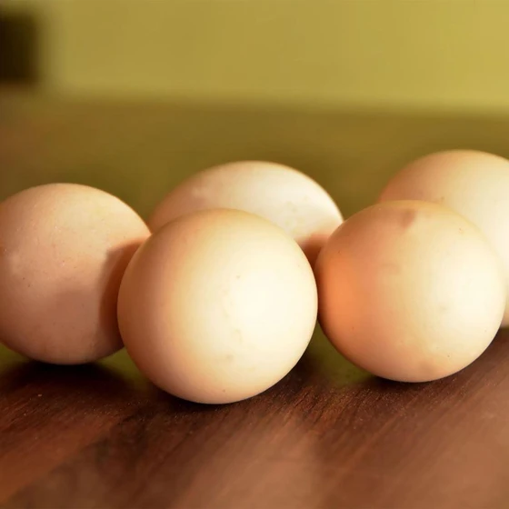 brown-table-eggs-1.webp