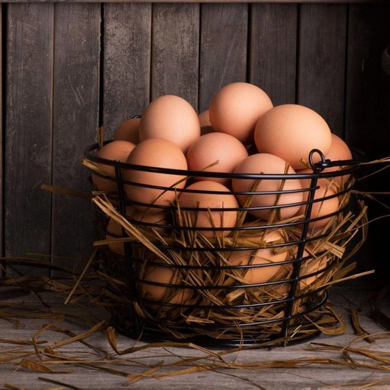 brown-chicken-egg-2.webp