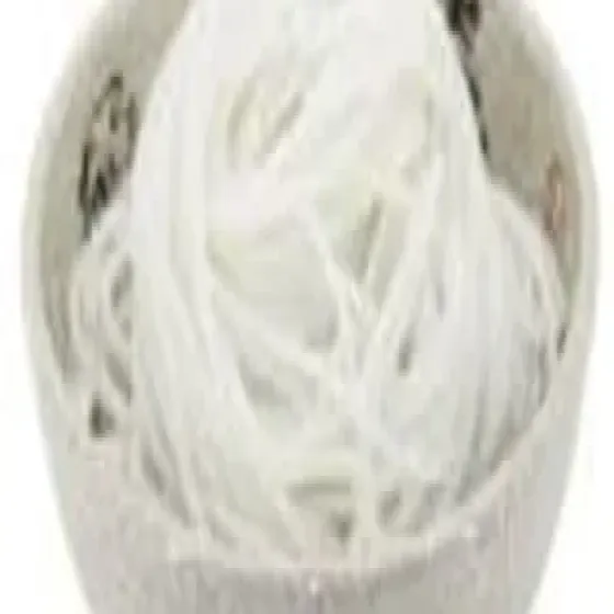 manufacturers-noodles-vermicelli-a4JM0D1B.webp