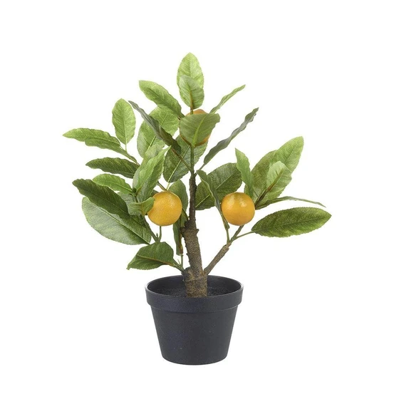 malta-lemon-plants-2.webp