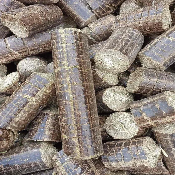 biomass-fuel-briquettes-1.webp