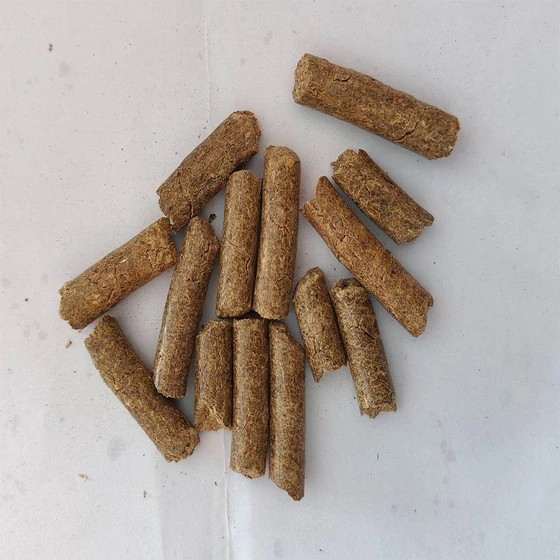 biomass-groundnut-pellet-1.webp