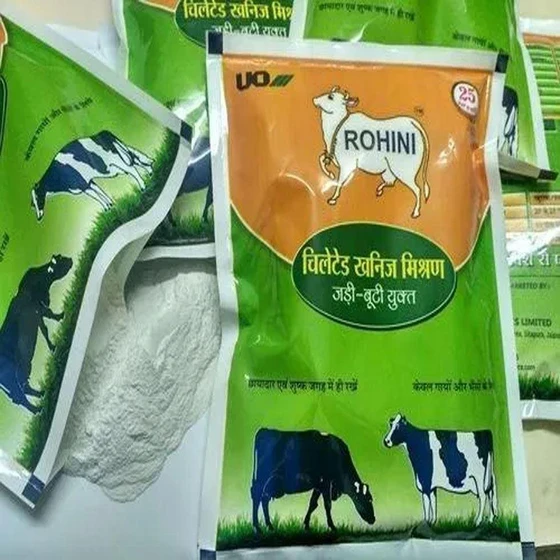 bypass-protein-powder-2.webp