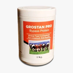 Bypass Protein Powder