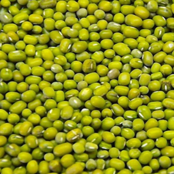 organic-green-gram-1.webp